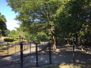 軽井沢町 湯川ふるさと公園ドッグラン