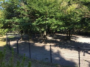 軽井沢町 湯川ふるさと公園ドッグラン