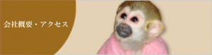 会社概要・アクセス