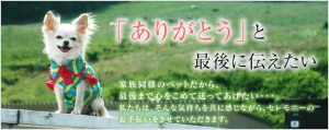 家族同様のペットだから、最後まで心をこめて送ってあげたい。私たちはそんな気持ちを共に感じながら、セレモニーのお手伝いをさせていただきます。