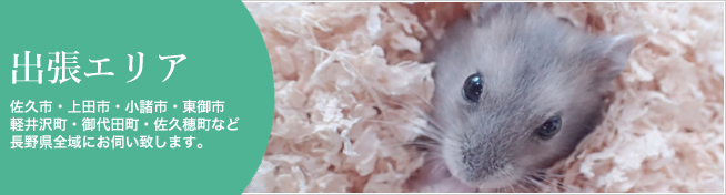 出張エリア